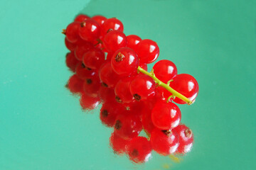 a sprig of red ripe currant on a green background