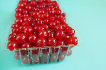 juicy red currant berries in a rectangular plastic container on a light blue background side view