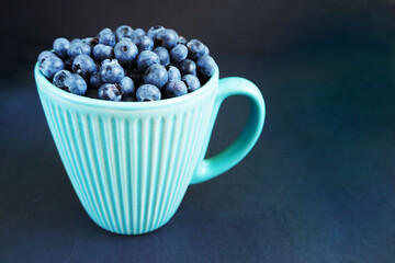 dark blue blueberries in a turquoise colored circle on a dark background side view