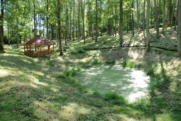 Park - Leśne Arboretum w Kudypach