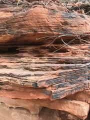 d&eacute;sert australien