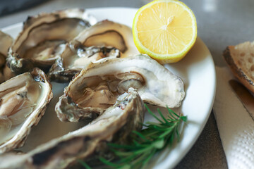 Opened oysters on the white plate with lemon slices and rosemary, close-up