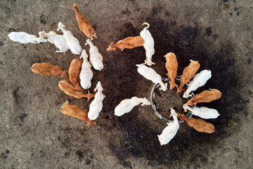 Vue aérienne de la campagne bourbonnaise