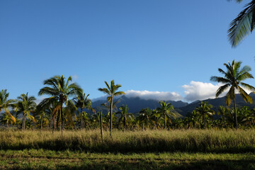 Fototapeta na wymiar Mokulē'ia O‘ahu Hawaii