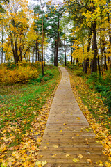 Beautiful autumn landscape. City Park in Jurmala town, Latvia