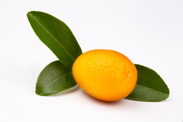 Top view of bunch of fresh kumquats in the organic food market. Some kumquats is cutted.