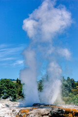 Pohutu Geyser erupting