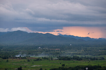 Naklejka premium Rice fields in the rainy season in northern Thailand.