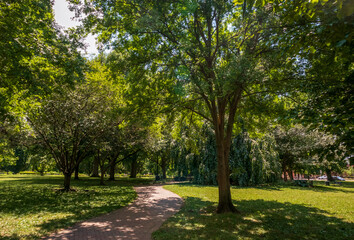Fototapeta na wymiar Beautiful trees in Schiller Park in German Village, Columbus, Ohio