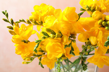 Beautiful blooming yellow freesias in glass vase against pink background, closeup