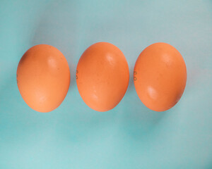 Three orange chicken eggs on a blue background