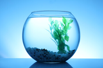 Glass fish bowl with clear water, plant and decorative pebble on blue background