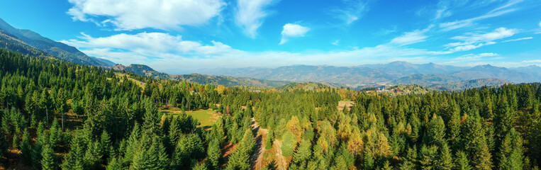 Aerial panoramic view of a rural region with pine tree forests and the Carpathian mountain range in the background on a sunny day in autumn. Borsa, Maramures, Romania.