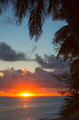 Naklejka na ściany i meble Sunset over Lagoon framed from Coco Palms