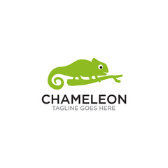 Chameleon animal logo design template