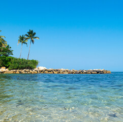 Tropical beach with palm trees in Puerto Vallarta, Jal.