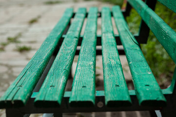 Fototapeta na wymiar green bench in the garden