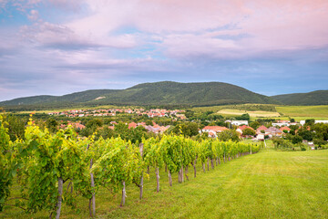 View of the village of Felsőtárkány, near the city of Eger, Hungary. Hills and many vineyards can be found in this area.