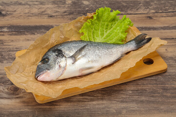 Raw Dorada fish  for cooking