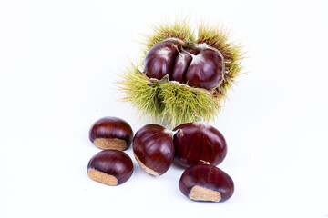 Chestnut Isolated. Roasted sweet chestnuts for Christmas on white background. Top view. 