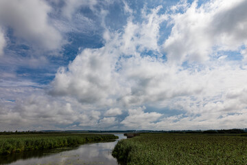 Clouds Over Federsee And Green Reed Marshland