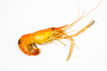 Grilled shrimp with a white background