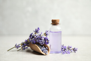 Bottle of essential oil and lavender flowers on light stone table - obrazy, fototapety, plakaty