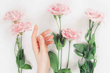 A delicate female hand lies with the flowers of the pink eustoma. Flat lay. White background. The concept of natural beauty