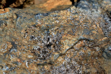the surface of the stone in the sun