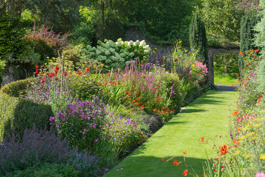 A typical cottage garden packed with beautiful flowers and shrubs