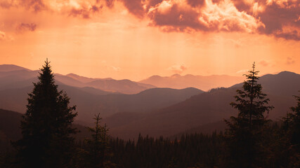 Carpathian Mountains. Panorama of green hills in summer mountain