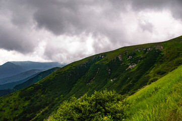 Obraz premium Carpathian Mountains. Panorama of green hills in summer mountain