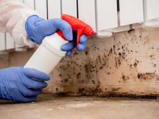 Removing Mold From Internal Walls. Elimination of mold at home under the heating battery, Clouse-up.