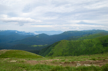 Fototapeta na wymiar Carpathian Mountains. Panorama of green hills in summer mountain