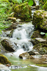 Fototapeta premium Small waterfall in the forest