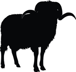Ram silhouette, black animal image isolated on white