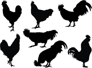 Rooster Silhouette collection
