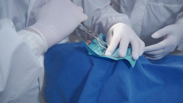 Dentist and nurse inside operating room working on oral case, patient lying down face covered, Ppe suit protective mask face shield and white protective gloves, covid-19 corona virus protection