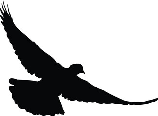 Dove Silhouette
Silhouette of a flying dove on a white background vector illustration
