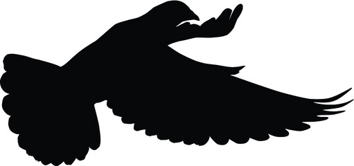 Dove Silhouette
Silhouette of a flying dove on a white background vector illustration
