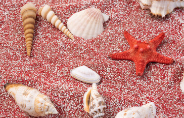 red white coral sand with seashells isolated on white