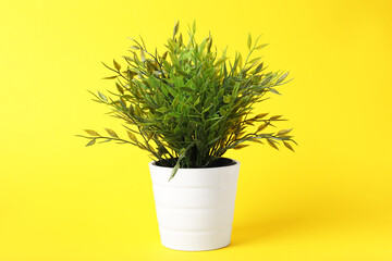 Beautiful artificial plant in flower pot on yellow background