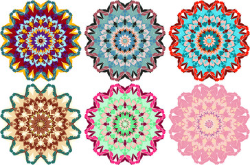 Set of six colorful flowers, vector illustration