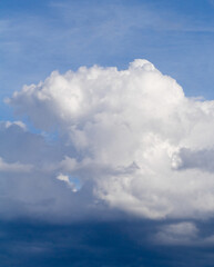 Naklejka na ściany i meble Towering Cumulus storm cloud build up