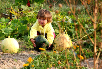 little girl and pumpkin