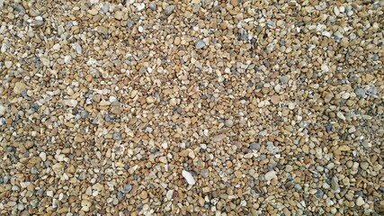 Nature Texture Bundle