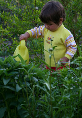 little girl watering flowers