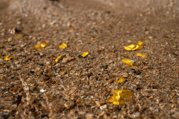 Pure gold nugget ore found in mine with natural underwater sources