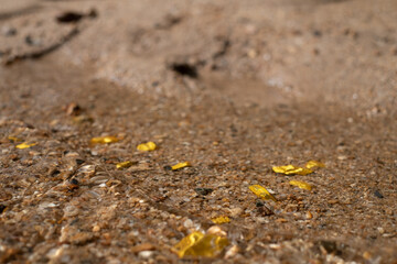 Pure gold nugget ore found in mine with natural underwater sources