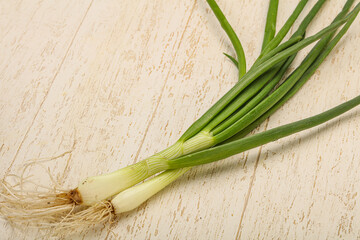 Young fresh tasty green onion